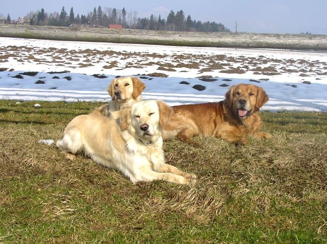 Sprehod 19.3.06-Rondo, Gaja, Gal - foto povečava