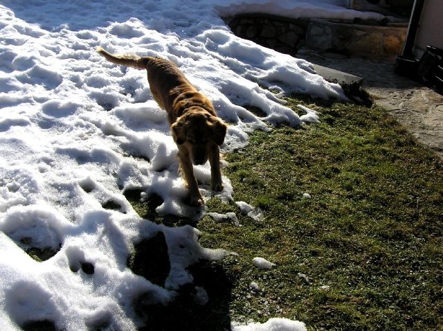 Februar 2006 - foto povečava