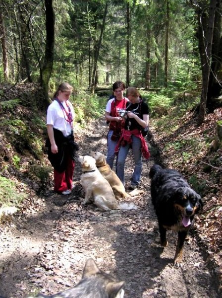 Rondo, Rina, Atos, Aska, Gaja in Gal - spreho - foto povečava