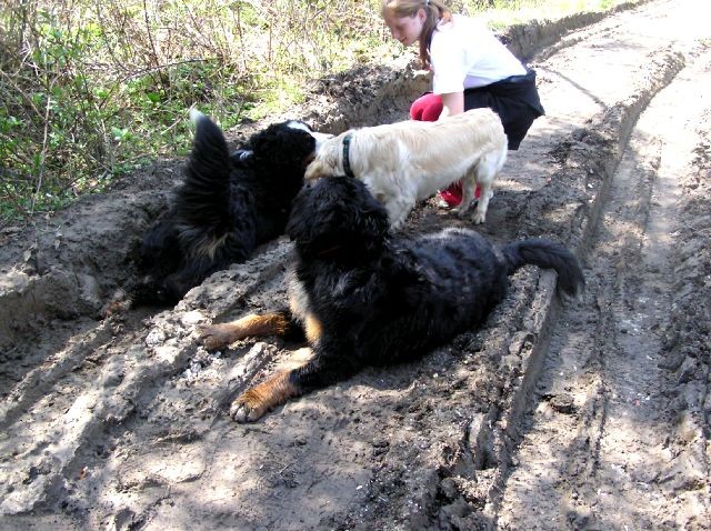 Rondo, Rina, Atos, Aska, Gaja in Gal - spreho - foto povečava