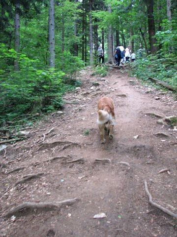 Štefanja gora in Grad - 28.5. - foto povečava