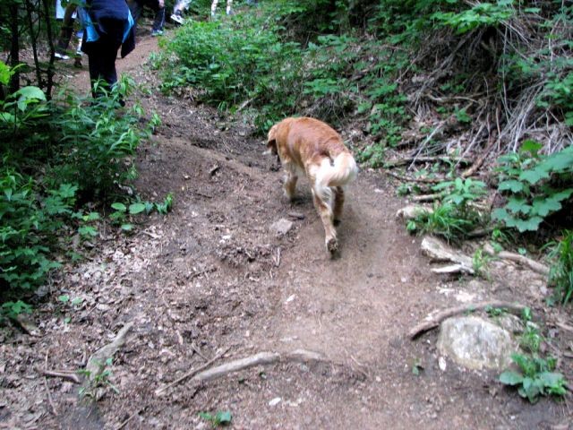 Štefanja gora in Grad - 28.5. - foto povečava