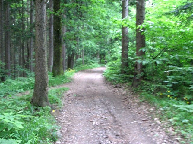 Štefanja gora in Grad - 28.5. - foto povečava