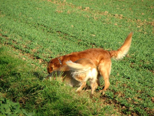 Oktober 2006 - foto povečava