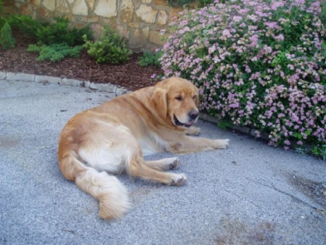 Junij 2005 - foto