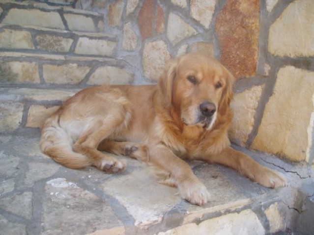 Junij 2005 - foto