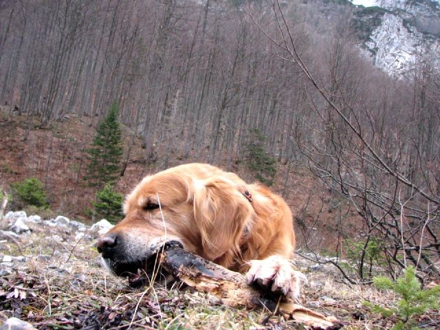 Kranjska gora 07 - foto