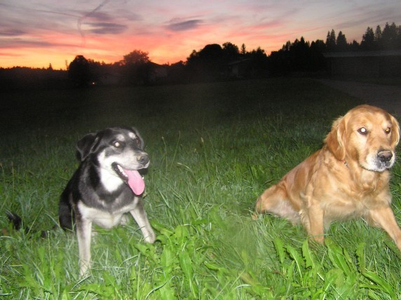 Rondo, šaja-avgust2005 - foto povečava