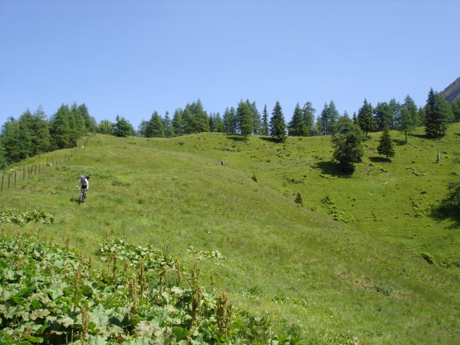 Dovška Rožca_21.6.08 - foto povečava