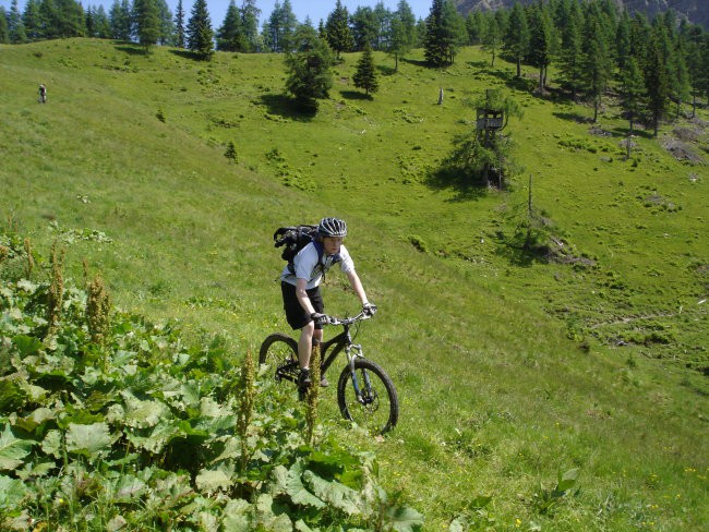 Dovška Rožca_21.6.08 - foto povečava