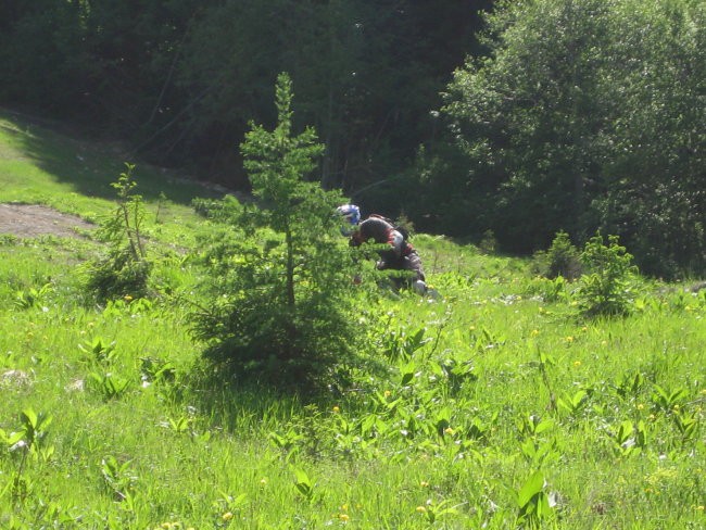 BIKE pARK 18.5.07 - foto povečava