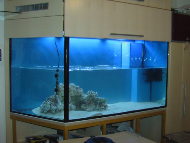 Akvarij 2 - foto