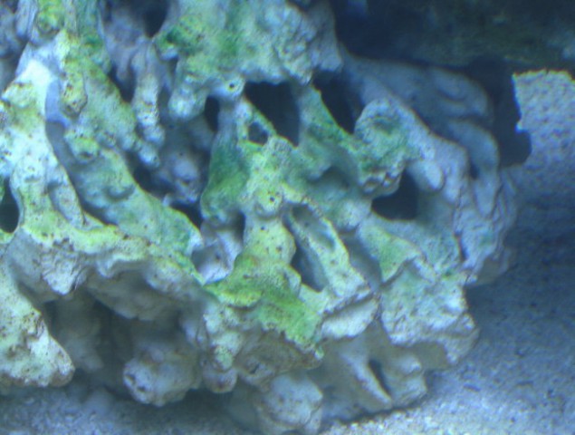 Akvarij 2 - foto