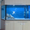 akvarij