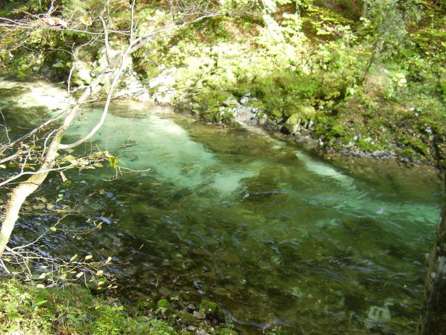 Bled - foto povečava