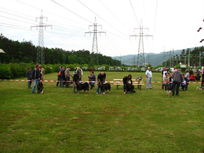 Specialna razstava KO -17.5.2008 - foto povečava