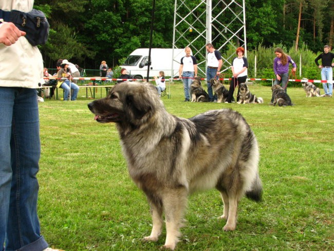 Specialna razstava KO -17.5.2008 - foto povečava