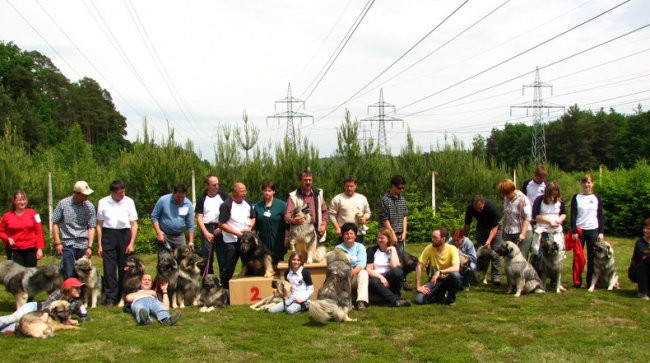 Specialna razstava KO -17.5.2008 - foto povečava