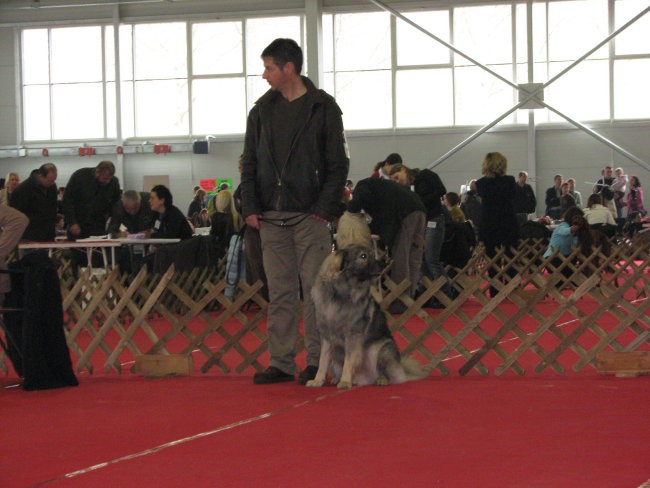 CAC Celje -  26.2.2007 - foto povečava