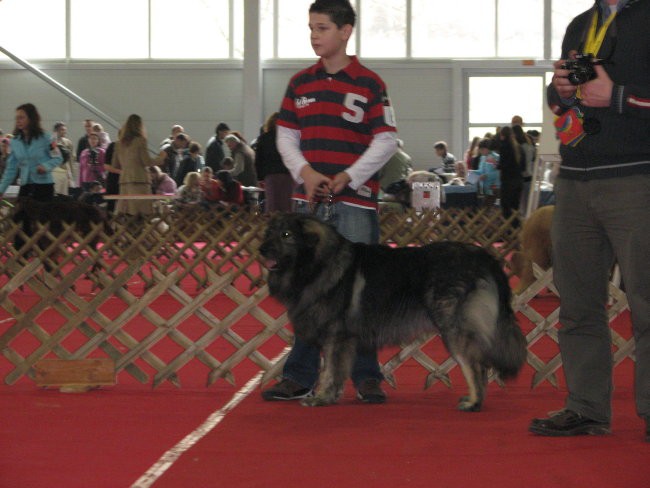 CAC Celje -  26.2.2007 - foto povečava