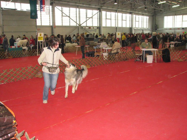 CAC Celje -  26.2.2007 - foto povečava