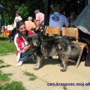 Bela in vzrediteljica g.Marjana