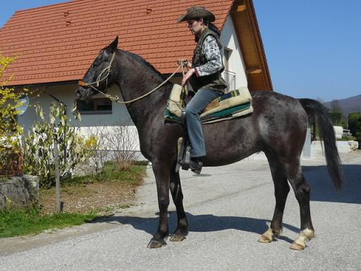 Moj kojnček! Loyzi - foto povečava