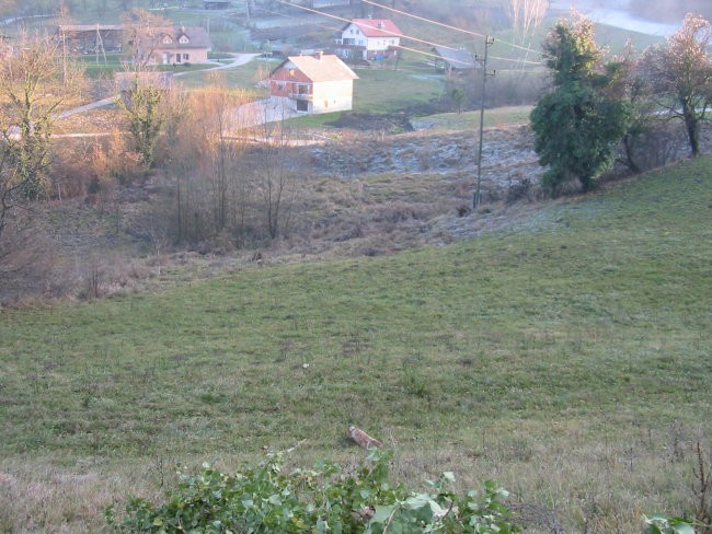 travnik, drevesa