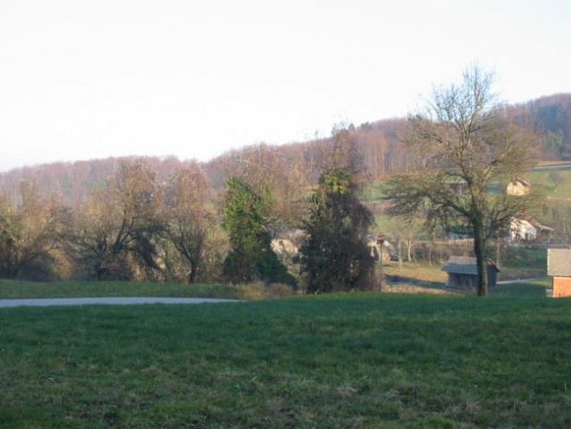 Drevesa in travnik