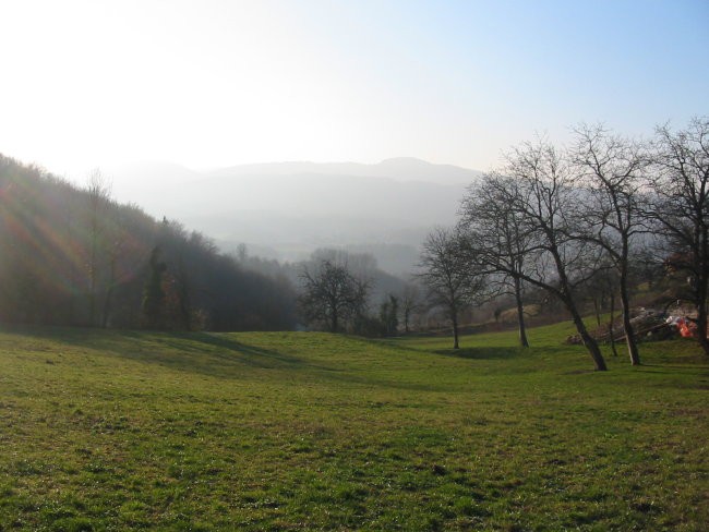 travnik, malo gozda in hrib v ozadju