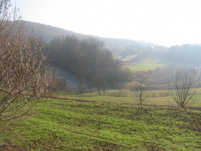 Polje in gozd v daljavi