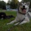 avtor: aska