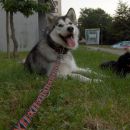 avtor: aska