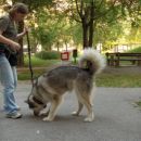 avtor: aska