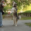 avtor: aska