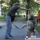 avtor: aska