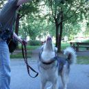 avtor: aska