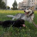 avtor: aska