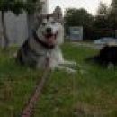 avtor: aska