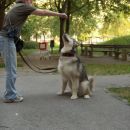 avtor: aska
