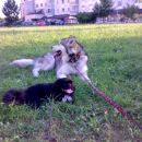 avtor: aska