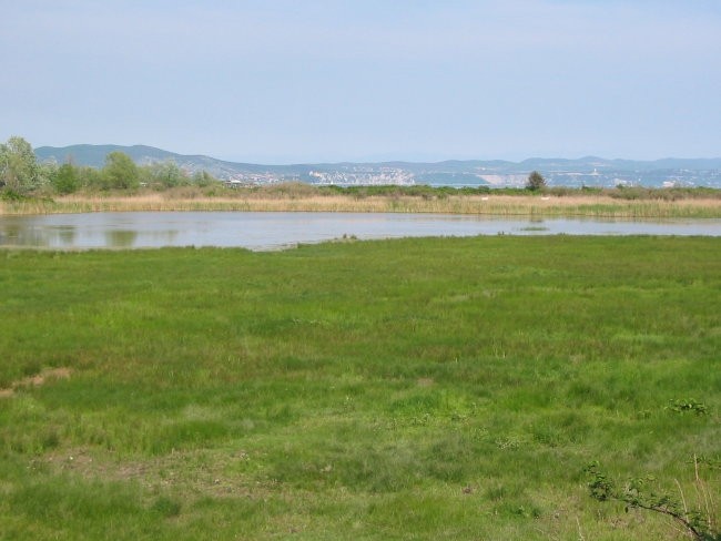 Delta Soče (Isola della cona) - foto povečava