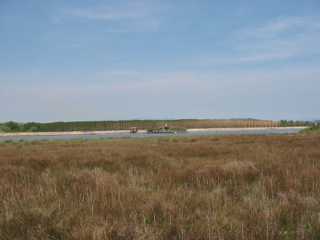 Delta Soče (Isola della cona) - foto povečava