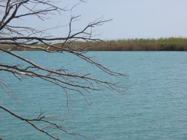 Delta Soče (Isola della cona) - foto