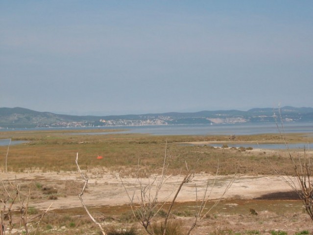 Delta Soče (Isola della cona) - foto