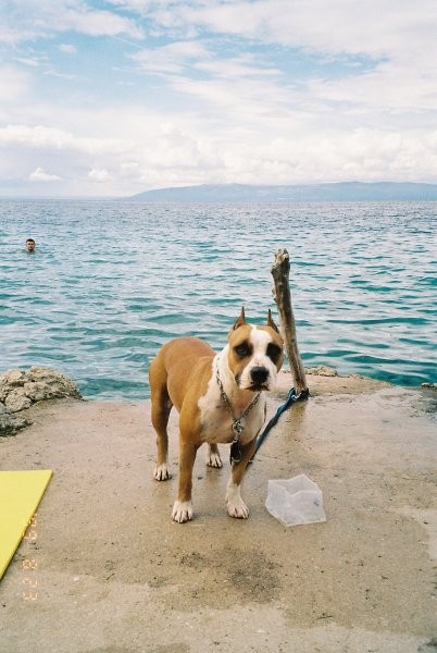 Cres in Lena z nami - foto povečava