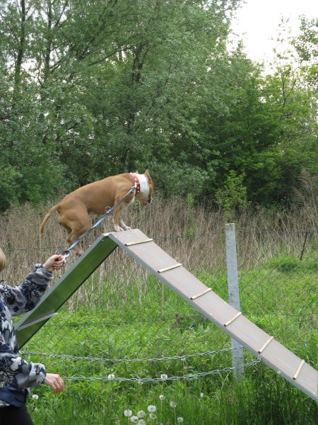 Lena - AST - foto povečava