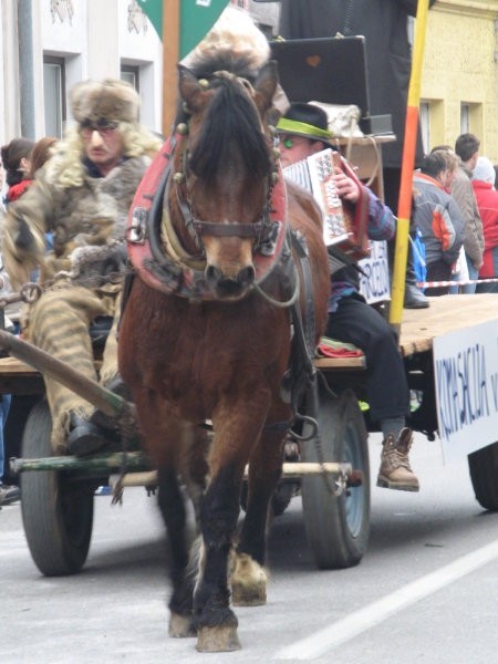 Pustni karneval, Ribnica 2007 - foto