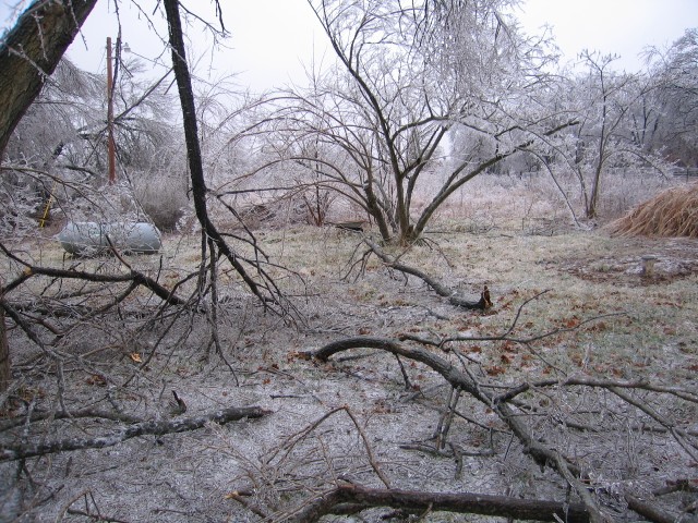 13. January 2007 - foto