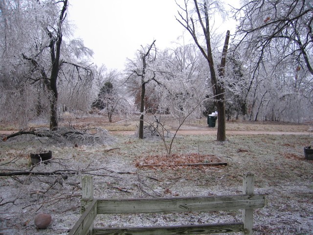 13. January 2007 - foto povečava